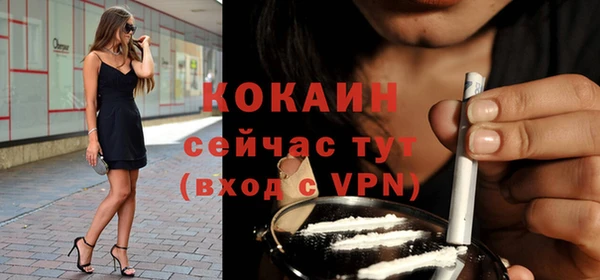 ALPHA PVP Няндома